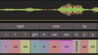 Three cues before a rounded vowel, each carrying a progressively stronger stripe along its top edge